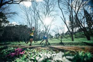 BIB: 
                            <button type="button" onclick="openModal(25228103)" class="btn btn-primary btn-sm float-right btn-popup" data-toggle="modal" data-target=".modal-high-quality">
                        <i class="fas fa-shopping-cart"></i> Add to Cart
                    </button>
                                            <button type="button" onclick="isThisMe(25228103, true)" class="btn btn-success btn-sm float-right btn-popup btn-isme hidden" data-toggle="tooltip" data-placement="bottom" title="นี่คือรูปของคุณใช่ไหม คลิกที่นี่เพื่อเอาเข้าอัลบั้ม">
                        <i class="fas fa-plus"></i> Add to album
                    </button>
                    <button type="button" onclick="isThisMe(25228103, false)" class="btn btn-warning btn-sm float-right btn-popup btn-isnotme hidden">
                        <i class="fas fa-ban"></i> Remove from album
                    </button>