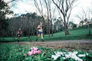 BIB: 
                            <button type="button" onclick="openModal(25225512)" class="btn btn-primary btn-sm float-right btn-popup" data-toggle="modal" data-target=".modal-high-quality">
                        <i class="fas fa-shopping-cart"></i> Add to Cart
                    </button>
                                            <button type="button" onclick="isThisMe(25225512, true)" class="btn btn-success btn-sm float-right btn-popup btn-isme hidden" data-toggle="tooltip" data-placement="bottom" title="นี่คือรูปของคุณใช่ไหม คลิกที่นี่เพื่อเอาเข้าอัลบั้ม">
                        <i class="fas fa-plus"></i> Add to album
                    </button>
                    <button type="button" onclick="isThisMe(25225512, false)" class="btn btn-warning btn-sm float-right btn-popup btn-isnotme hidden">
                        <i class="fas fa-ban"></i> Remove from album
                    </button>