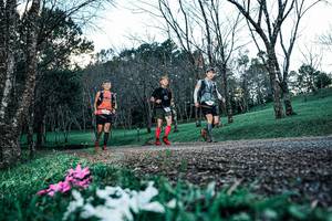 BIB: 
                            <button type="button" onclick="openModal(25225387)" class="btn btn-primary btn-sm float-right btn-popup" data-toggle="modal" data-target=".modal-high-quality">
                        <i class="fas fa-shopping-cart"></i> Add to Cart
                    </button>
                                            <button type="button" onclick="isThisMe(25225387, true)" class="btn btn-success btn-sm float-right btn-popup btn-isme hidden" data-toggle="tooltip" data-placement="bottom" title="นี่คือรูปของคุณใช่ไหม คลิกที่นี่เพื่อเอาเข้าอัลบั้ม">
                        <i class="fas fa-plus"></i> Add to album
                    </button>
                    <button type="button" onclick="isThisMe(25225387, false)" class="btn btn-warning btn-sm float-right btn-popup btn-isnotme hidden">
                        <i class="fas fa-ban"></i> Remove from album
                    </button>