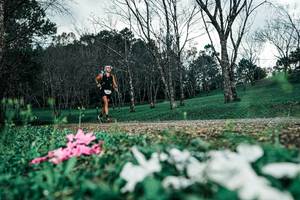 BIB: 
                            <button type="button" onclick="openModal(25226409)" class="btn btn-primary btn-sm float-right btn-popup" data-toggle="modal" data-target=".modal-high-quality">
                        <i class="fas fa-shopping-cart"></i> Add to Cart
                    </button>
                                            <button type="button" onclick="isThisMe(25226409, true)" class="btn btn-success btn-sm float-right btn-popup btn-isme hidden" data-toggle="tooltip" data-placement="bottom" title="นี่คือรูปของคุณใช่ไหม คลิกที่นี่เพื่อเอาเข้าอัลบั้ม">
                        <i class="fas fa-plus"></i> Add to album
                    </button>
                    <button type="button" onclick="isThisMe(25226409, false)" class="btn btn-warning btn-sm float-right btn-popup btn-isnotme hidden">
                        <i class="fas fa-ban"></i> Remove from album
                    </button>