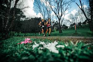 BIB: 
                            <button type="button" onclick="openModal(25226087)" class="btn btn-primary btn-sm float-right btn-popup" data-toggle="modal" data-target=".modal-high-quality">
                        <i class="fas fa-shopping-cart"></i> Add to Cart
                    </button>
                                            <button type="button" onclick="isThisMe(25226087, true)" class="btn btn-success btn-sm float-right btn-popup btn-isme hidden" data-toggle="tooltip" data-placement="bottom" title="นี่คือรูปของคุณใช่ไหม คลิกที่นี่เพื่อเอาเข้าอัลบั้ม">
                        <i class="fas fa-plus"></i> Add to album
                    </button>
                    <button type="button" onclick="isThisMe(25226087, false)" class="btn btn-warning btn-sm float-right btn-popup btn-isnotme hidden">
                        <i class="fas fa-ban"></i> Remove from album
                    </button>