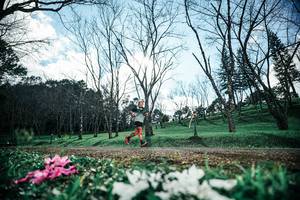 BIB: 
                            <button type="button" onclick="openModal(25228185)" class="btn btn-primary btn-sm float-right btn-popup" data-toggle="modal" data-target=".modal-high-quality">
                        <i class="fas fa-shopping-cart"></i> Add to Cart
                    </button>
                                            <button type="button" onclick="isThisMe(25228185, true)" class="btn btn-success btn-sm float-right btn-popup btn-isme hidden" data-toggle="tooltip" data-placement="bottom" title="นี่คือรูปของคุณใช่ไหม คลิกที่นี่เพื่อเอาเข้าอัลบั้ม">
                        <i class="fas fa-plus"></i> Add to album
                    </button>
                    <button type="button" onclick="isThisMe(25228185, false)" class="btn btn-warning btn-sm float-right btn-popup btn-isnotme hidden">
                        <i class="fas fa-ban"></i> Remove from album
                    </button>