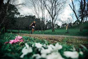 BIB: 
                            <button type="button" onclick="openModal(25227150)" class="btn btn-primary btn-sm float-right btn-popup" data-toggle="modal" data-target=".modal-high-quality">
                        <i class="fas fa-shopping-cart"></i> Add to Cart
                    </button>
                                            <button type="button" onclick="isThisMe(25227150, true)" class="btn btn-success btn-sm float-right btn-popup btn-isme hidden" data-toggle="tooltip" data-placement="bottom" title="นี่คือรูปของคุณใช่ไหม คลิกที่นี่เพื่อเอาเข้าอัลบั้ม">
                        <i class="fas fa-plus"></i> Add to album
                    </button>
                    <button type="button" onclick="isThisMe(25227150, false)" class="btn btn-warning btn-sm float-right btn-popup btn-isnotme hidden">
                        <i class="fas fa-ban"></i> Remove from album
                    </button>