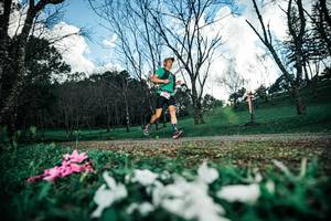 BIB: 
                            <button type="button" onclick="openModal(25226008)" class="btn btn-primary btn-sm float-right btn-popup" data-toggle="modal" data-target=".modal-high-quality">
                        <i class="fas fa-shopping-cart"></i> Add to Cart
                    </button>
                                            <button type="button" onclick="isThisMe(25226008, true)" class="btn btn-success btn-sm float-right btn-popup btn-isme hidden" data-toggle="tooltip" data-placement="bottom" title="นี่คือรูปของคุณใช่ไหม คลิกที่นี่เพื่อเอาเข้าอัลบั้ม">
                        <i class="fas fa-plus"></i> Add to album
                    </button>
                    <button type="button" onclick="isThisMe(25226008, false)" class="btn btn-warning btn-sm float-right btn-popup btn-isnotme hidden">
                        <i class="fas fa-ban"></i> Remove from album
                    </button>