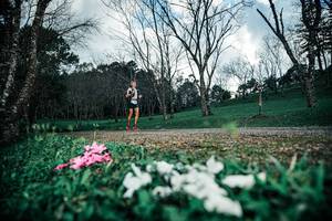 BIB: 
                            <button type="button" onclick="openModal(25226453)" class="btn btn-primary btn-sm float-right btn-popup" data-toggle="modal" data-target=".modal-high-quality">
                        <i class="fas fa-shopping-cart"></i> Add to Cart
                    </button>
                                            <button type="button" onclick="isThisMe(25226453, true)" class="btn btn-success btn-sm float-right btn-popup btn-isme hidden" data-toggle="tooltip" data-placement="bottom" title="นี่คือรูปของคุณใช่ไหม คลิกที่นี่เพื่อเอาเข้าอัลบั้ม">
                        <i class="fas fa-plus"></i> Add to album
                    </button>
                    <button type="button" onclick="isThisMe(25226453, false)" class="btn btn-warning btn-sm float-right btn-popup btn-isnotme hidden">
                        <i class="fas fa-ban"></i> Remove from album
                    </button>