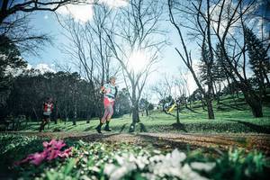 BIB: 
                            <button type="button" onclick="openModal(25228137)" class="btn btn-primary btn-sm float-right btn-popup" data-toggle="modal" data-target=".modal-high-quality">
                        <i class="fas fa-shopping-cart"></i> Add to Cart
                    </button>
                                            <button type="button" onclick="isThisMe(25228137, true)" class="btn btn-success btn-sm float-right btn-popup btn-isme hidden" data-toggle="tooltip" data-placement="bottom" title="นี่คือรูปของคุณใช่ไหม คลิกที่นี่เพื่อเอาเข้าอัลบั้ม">
                        <i class="fas fa-plus"></i> Add to album
                    </button>
                    <button type="button" onclick="isThisMe(25228137, false)" class="btn btn-warning btn-sm float-right btn-popup btn-isnotme hidden">
                        <i class="fas fa-ban"></i> Remove from album
                    </button>