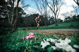 BIB: 
                            <button type="button" onclick="openModal(25225993)" class="btn btn-primary btn-sm float-right btn-popup" data-toggle="modal" data-target=".modal-high-quality">
                        <i class="fas fa-shopping-cart"></i> Add to Cart
                    </button>
                                            <button type="button" onclick="isThisMe(25225993, true)" class="btn btn-success btn-sm float-right btn-popup btn-isme hidden" data-toggle="tooltip" data-placement="bottom" title="นี่คือรูปของคุณใช่ไหม คลิกที่นี่เพื่อเอาเข้าอัลบั้ม">
                        <i class="fas fa-plus"></i> Add to album
                    </button>
                    <button type="button" onclick="isThisMe(25225993, false)" class="btn btn-warning btn-sm float-right btn-popup btn-isnotme hidden">
                        <i class="fas fa-ban"></i> Remove from album
                    </button>