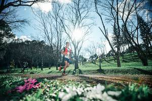 BIB: 
                            <button type="button" onclick="openModal(25228129)" class="btn btn-primary btn-sm float-right btn-popup" data-toggle="modal" data-target=".modal-high-quality">
                        <i class="fas fa-shopping-cart"></i> Add to Cart
                    </button>
                                            <button type="button" onclick="isThisMe(25228129, true)" class="btn btn-success btn-sm float-right btn-popup btn-isme hidden" data-toggle="tooltip" data-placement="bottom" title="นี่คือรูปของคุณใช่ไหม คลิกที่นี่เพื่อเอาเข้าอัลบั้ม">
                        <i class="fas fa-plus"></i> Add to album
                    </button>
                    <button type="button" onclick="isThisMe(25228129, false)" class="btn btn-warning btn-sm float-right btn-popup btn-isnotme hidden">
                        <i class="fas fa-ban"></i> Remove from album
                    </button>