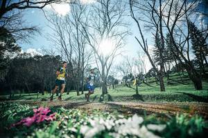 BIB: 
                            <button type="button" onclick="openModal(25228117)" class="btn btn-primary btn-sm float-right btn-popup" data-toggle="modal" data-target=".modal-high-quality">
                        <i class="fas fa-shopping-cart"></i> Add to Cart
                    </button>
                                            <button type="button" onclick="isThisMe(25228117, true)" class="btn btn-success btn-sm float-right btn-popup btn-isme hidden" data-toggle="tooltip" data-placement="bottom" title="นี่คือรูปของคุณใช่ไหม คลิกที่นี่เพื่อเอาเข้าอัลบั้ม">
                        <i class="fas fa-plus"></i> Add to album
                    </button>
                    <button type="button" onclick="isThisMe(25228117, false)" class="btn btn-warning btn-sm float-right btn-popup btn-isnotme hidden">
                        <i class="fas fa-ban"></i> Remove from album
                    </button>