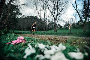 BIB: 
                            <button type="button" onclick="openModal(25227180)" class="btn btn-primary btn-sm float-right btn-popup" data-toggle="modal" data-target=".modal-high-quality">
                        <i class="fas fa-shopping-cart"></i> Add to Cart
                    </button>
                                            <button type="button" onclick="isThisMe(25227180, true)" class="btn btn-success btn-sm float-right btn-popup btn-isme hidden" data-toggle="tooltip" data-placement="bottom" title="นี่คือรูปของคุณใช่ไหม คลิกที่นี่เพื่อเอาเข้าอัลบั้ม">
                        <i class="fas fa-plus"></i> Add to album
                    </button>
                    <button type="button" onclick="isThisMe(25227180, false)" class="btn btn-warning btn-sm float-right btn-popup btn-isnotme hidden">
                        <i class="fas fa-ban"></i> Remove from album
                    </button>