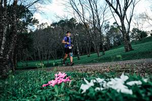 BIB: 
                            <button type="button" onclick="openModal(25225462)" class="btn btn-primary btn-sm float-right btn-popup" data-toggle="modal" data-target=".modal-high-quality">
                        <i class="fas fa-shopping-cart"></i> Add to Cart
                    </button>
                                            <button type="button" onclick="isThisMe(25225462, true)" class="btn btn-success btn-sm float-right btn-popup btn-isme hidden" data-toggle="tooltip" data-placement="bottom" title="นี่คือรูปของคุณใช่ไหม คลิกที่นี่เพื่อเอาเข้าอัลบั้ม">
                        <i class="fas fa-plus"></i> Add to album
                    </button>
                    <button type="button" onclick="isThisMe(25225462, false)" class="btn btn-warning btn-sm float-right btn-popup btn-isnotme hidden">
                        <i class="fas fa-ban"></i> Remove from album
                    </button>