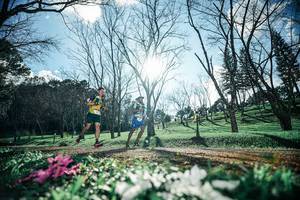 BIB: 
                            <button type="button" onclick="openModal(25228042)" class="btn btn-primary btn-sm float-right btn-popup" data-toggle="modal" data-target=".modal-high-quality">
                        <i class="fas fa-shopping-cart"></i> Add to Cart
                    </button>
                                            <button type="button" onclick="isThisMe(25228042, true)" class="btn btn-success btn-sm float-right btn-popup btn-isme hidden" data-toggle="tooltip" data-placement="bottom" title="นี่คือรูปของคุณใช่ไหม คลิกที่นี่เพื่อเอาเข้าอัลบั้ม">
                        <i class="fas fa-plus"></i> Add to album
                    </button>
                    <button type="button" onclick="isThisMe(25228042, false)" class="btn btn-warning btn-sm float-right btn-popup btn-isnotme hidden">
                        <i class="fas fa-ban"></i> Remove from album
                    </button>