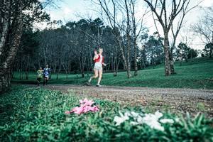 BIB: 
                            <button type="button" onclick="openModal(25225905)" class="btn btn-primary btn-sm float-right btn-popup" data-toggle="modal" data-target=".modal-high-quality">
                        <i class="fas fa-shopping-cart"></i> Add to Cart
                    </button>
                                            <button type="button" onclick="isThisMe(25225905, true)" class="btn btn-success btn-sm float-right btn-popup btn-isme hidden" data-toggle="tooltip" data-placement="bottom" title="นี่คือรูปของคุณใช่ไหม คลิกที่นี่เพื่อเอาเข้าอัลบั้ม">
                        <i class="fas fa-plus"></i> Add to album
                    </button>
                    <button type="button" onclick="isThisMe(25225905, false)" class="btn btn-warning btn-sm float-right btn-popup btn-isnotme hidden">
                        <i class="fas fa-ban"></i> Remove from album
                    </button>