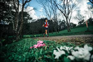 BIB: 
                            <button type="button" onclick="openModal(25226004)" class="btn btn-primary btn-sm float-right btn-popup" data-toggle="modal" data-target=".modal-high-quality">
                        <i class="fas fa-shopping-cart"></i> Add to Cart
                    </button>
                                            <button type="button" onclick="isThisMe(25226004, true)" class="btn btn-success btn-sm float-right btn-popup btn-isme hidden" data-toggle="tooltip" data-placement="bottom" title="นี่คือรูปของคุณใช่ไหม คลิกที่นี่เพื่อเอาเข้าอัลบั้ม">
                        <i class="fas fa-plus"></i> Add to album
                    </button>
                    <button type="button" onclick="isThisMe(25226004, false)" class="btn btn-warning btn-sm float-right btn-popup btn-isnotme hidden">
                        <i class="fas fa-ban"></i> Remove from album
                    </button>