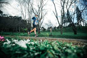 BIB: 
                            <button type="button" onclick="openModal(25227371)" class="btn btn-primary btn-sm float-right btn-popup" data-toggle="modal" data-target=".modal-high-quality">
                        <i class="fas fa-shopping-cart"></i> Add to Cart
                    </button>
                                            <button type="button" onclick="isThisMe(25227371, true)" class="btn btn-success btn-sm float-right btn-popup btn-isme hidden" data-toggle="tooltip" data-placement="bottom" title="นี่คือรูปของคุณใช่ไหม คลิกที่นี่เพื่อเอาเข้าอัลบั้ม">
                        <i class="fas fa-plus"></i> Add to album
                    </button>
                    <button type="button" onclick="isThisMe(25227371, false)" class="btn btn-warning btn-sm float-right btn-popup btn-isnotme hidden">
                        <i class="fas fa-ban"></i> Remove from album
                    </button>