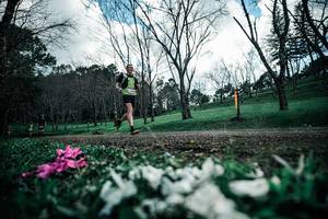 BIB: 
                            <button type="button" onclick="openModal(25227474)" class="btn btn-primary btn-sm float-right btn-popup" data-toggle="modal" data-target=".modal-high-quality">
                        <i class="fas fa-shopping-cart"></i> Add to Cart
                    </button>
                                            <button type="button" onclick="isThisMe(25227474, true)" class="btn btn-success btn-sm float-right btn-popup btn-isme hidden" data-toggle="tooltip" data-placement="bottom" title="นี่คือรูปของคุณใช่ไหม คลิกที่นี่เพื่อเอาเข้าอัลบั้ม">
                        <i class="fas fa-plus"></i> Add to album
                    </button>
                    <button type="button" onclick="isThisMe(25227474, false)" class="btn btn-warning btn-sm float-right btn-popup btn-isnotme hidden">
                        <i class="fas fa-ban"></i> Remove from album
                    </button>