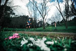 BIB: 
                            <button type="button" onclick="openModal(25226837)" class="btn btn-primary btn-sm float-right btn-popup" data-toggle="modal" data-target=".modal-high-quality">
                        <i class="fas fa-shopping-cart"></i> Add to Cart
                    </button>
                                            <button type="button" onclick="isThisMe(25226837, true)" class="btn btn-success btn-sm float-right btn-popup btn-isme hidden" data-toggle="tooltip" data-placement="bottom" title="นี่คือรูปของคุณใช่ไหม คลิกที่นี่เพื่อเอาเข้าอัลบั้ม">
                        <i class="fas fa-plus"></i> Add to album
                    </button>
                    <button type="button" onclick="isThisMe(25226837, false)" class="btn btn-warning btn-sm float-right btn-popup btn-isnotme hidden">
                        <i class="fas fa-ban"></i> Remove from album
                    </button>