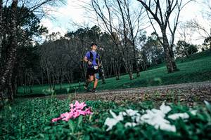 BIB: 
                            <button type="button" onclick="openModal(25225454)" class="btn btn-primary btn-sm float-right btn-popup" data-toggle="modal" data-target=".modal-high-quality">
                        <i class="fas fa-shopping-cart"></i> Add to Cart
                    </button>
                                            <button type="button" onclick="isThisMe(25225454, true)" class="btn btn-success btn-sm float-right btn-popup btn-isme hidden" data-toggle="tooltip" data-placement="bottom" title="นี่คือรูปของคุณใช่ไหม คลิกที่นี่เพื่อเอาเข้าอัลบั้ม">
                        <i class="fas fa-plus"></i> Add to album
                    </button>
                    <button type="button" onclick="isThisMe(25225454, false)" class="btn btn-warning btn-sm float-right btn-popup btn-isnotme hidden">
                        <i class="fas fa-ban"></i> Remove from album
                    </button>