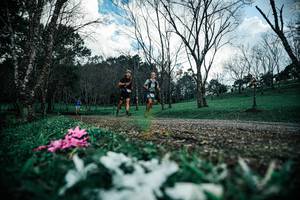 BIB: 
                            <button type="button" onclick="openModal(25226165)" class="btn btn-primary btn-sm float-right btn-popup" data-toggle="modal" data-target=".modal-high-quality">
                        <i class="fas fa-shopping-cart"></i> Add to Cart
                    </button>
                                            <button type="button" onclick="isThisMe(25226165, true)" class="btn btn-success btn-sm float-right btn-popup btn-isme hidden" data-toggle="tooltip" data-placement="bottom" title="นี่คือรูปของคุณใช่ไหม คลิกที่นี่เพื่อเอาเข้าอัลบั้ม">
                        <i class="fas fa-plus"></i> Add to album
                    </button>
                    <button type="button" onclick="isThisMe(25226165, false)" class="btn btn-warning btn-sm float-right btn-popup btn-isnotme hidden">
                        <i class="fas fa-ban"></i> Remove from album
                    </button>