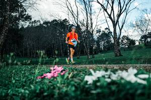 BIB: 
                            <button type="button" onclick="openModal(25225953)" class="btn btn-primary btn-sm float-right btn-popup" data-toggle="modal" data-target=".modal-high-quality">
                        <i class="fas fa-shopping-cart"></i> Add to Cart
                    </button>
                                            <button type="button" onclick="isThisMe(25225953, true)" class="btn btn-success btn-sm float-right btn-popup btn-isme hidden" data-toggle="tooltip" data-placement="bottom" title="นี่คือรูปของคุณใช่ไหม คลิกที่นี่เพื่อเอาเข้าอัลบั้ม">
                        <i class="fas fa-plus"></i> Add to album
                    </button>
                    <button type="button" onclick="isThisMe(25225953, false)" class="btn btn-warning btn-sm float-right btn-popup btn-isnotme hidden">
                        <i class="fas fa-ban"></i> Remove from album
                    </button>