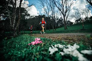 BIB: 
                            <button type="button" onclick="openModal(25226063)" class="btn btn-primary btn-sm float-right btn-popup" data-toggle="modal" data-target=".modal-high-quality">
                        <i class="fas fa-shopping-cart"></i> Add to Cart
                    </button>
                                            <button type="button" onclick="isThisMe(25226063, true)" class="btn btn-success btn-sm float-right btn-popup btn-isme hidden" data-toggle="tooltip" data-placement="bottom" title="นี่คือรูปของคุณใช่ไหม คลิกที่นี่เพื่อเอาเข้าอัลบั้ม">
                        <i class="fas fa-plus"></i> Add to album
                    </button>
                    <button type="button" onclick="isThisMe(25226063, false)" class="btn btn-warning btn-sm float-right btn-popup btn-isnotme hidden">
                        <i class="fas fa-ban"></i> Remove from album
                    </button>