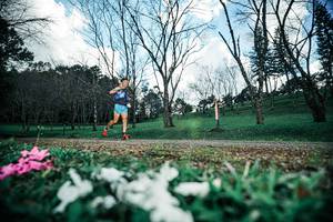 BIB: 
                            <button type="button" onclick="openModal(25226876)" class="btn btn-primary btn-sm float-right btn-popup" data-toggle="modal" data-target=".modal-high-quality">
                        <i class="fas fa-shopping-cart"></i> Add to Cart
                    </button>
                                            <button type="button" onclick="isThisMe(25226876, true)" class="btn btn-success btn-sm float-right btn-popup btn-isme hidden" data-toggle="tooltip" data-placement="bottom" title="นี่คือรูปของคุณใช่ไหม คลิกที่นี่เพื่อเอาเข้าอัลบั้ม">
                        <i class="fas fa-plus"></i> Add to album
                    </button>
                    <button type="button" onclick="isThisMe(25226876, false)" class="btn btn-warning btn-sm float-right btn-popup btn-isnotme hidden">
                        <i class="fas fa-ban"></i> Remove from album
                    </button>