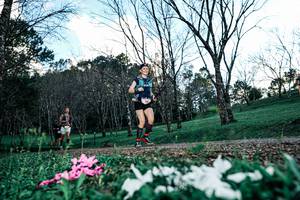 BIB: 
                            <button type="button" onclick="openModal(25225495)" class="btn btn-primary btn-sm float-right btn-popup" data-toggle="modal" data-target=".modal-high-quality">
                        <i class="fas fa-shopping-cart"></i> Add to Cart
                    </button>
                                            <button type="button" onclick="isThisMe(25225495, true)" class="btn btn-success btn-sm float-right btn-popup btn-isme hidden" data-toggle="tooltip" data-placement="bottom" title="นี่คือรูปของคุณใช่ไหม คลิกที่นี่เพื่อเอาเข้าอัลบั้ม">
                        <i class="fas fa-plus"></i> Add to album
                    </button>
                    <button type="button" onclick="isThisMe(25225495, false)" class="btn btn-warning btn-sm float-right btn-popup btn-isnotme hidden">
                        <i class="fas fa-ban"></i> Remove from album
                    </button>