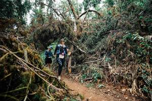 BIB: 
                            <button type="button" onclick="openModal(25566450)" class="btn btn-primary btn-sm float-right btn-popup" data-toggle="modal" data-target=".modal-high-quality">
                        <i class="fas fa-shopping-cart"></i> Add to Cart
                    </button>
                                            <button type="button" onclick="isThisMe(25566450, true)" class="btn btn-success btn-sm float-right btn-popup btn-isme hidden" data-toggle="tooltip" data-placement="bottom" title="นี่คือรูปของคุณใช่ไหม คลิกที่นี่เพื่อเอาเข้าอัลบั้ม">
                        <i class="fas fa-plus"></i> Add to album
                    </button>
                    <button type="button" onclick="isThisMe(25566450, false)" class="btn btn-warning btn-sm float-right btn-popup btn-isnotme hidden">
                        <i class="fas fa-ban"></i> Remove from album
                    </button>