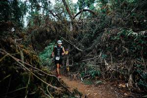 BIB: 
                            <button type="button" onclick="openModal(25571060)" class="btn btn-primary btn-sm float-right btn-popup" data-toggle="modal" data-target=".modal-high-quality">
                        <i class="fas fa-shopping-cart"></i> Add to Cart
                    </button>
                                            <button type="button" onclick="isThisMe(25571060, true)" class="btn btn-success btn-sm float-right btn-popup btn-isme hidden" data-toggle="tooltip" data-placement="bottom" title="นี่คือรูปของคุณใช่ไหม คลิกที่นี่เพื่อเอาเข้าอัลบั้ม">
                        <i class="fas fa-plus"></i> Add to album
                    </button>
                    <button type="button" onclick="isThisMe(25571060, false)" class="btn btn-warning btn-sm float-right btn-popup btn-isnotme hidden">
                        <i class="fas fa-ban"></i> Remove from album
                    </button>