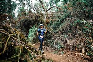 BIB: 
                            <button type="button" onclick="openModal(25527997)" class="btn btn-primary btn-sm float-right btn-popup" data-toggle="modal" data-target=".modal-high-quality">
                        <i class="fas fa-shopping-cart"></i> Add to Cart
                    </button>
                                            <button type="button" onclick="isThisMe(25527997, true)" class="btn btn-success btn-sm float-right btn-popup btn-isme hidden" data-toggle="tooltip" data-placement="bottom" title="นี่คือรูปของคุณใช่ไหม คลิกที่นี่เพื่อเอาเข้าอัลบั้ม">
                        <i class="fas fa-plus"></i> Add to album
                    </button>
                    <button type="button" onclick="isThisMe(25527997, false)" class="btn btn-warning btn-sm float-right btn-popup btn-isnotme hidden">
                        <i class="fas fa-ban"></i> Remove from album
                    </button>