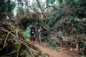 BIB: 
                            <button type="button" onclick="openModal(25470681)" class="btn btn-primary btn-sm float-right btn-popup" data-toggle="modal" data-target=".modal-high-quality">
                        <i class="fas fa-shopping-cart"></i> Add to Cart
                    </button>
                                            <button type="button" onclick="isThisMe(25470681, true)" class="btn btn-success btn-sm float-right btn-popup btn-isme hidden" data-toggle="tooltip" data-placement="bottom" title="นี่คือรูปของคุณใช่ไหม คลิกที่นี่เพื่อเอาเข้าอัลบั้ม">
                        <i class="fas fa-plus"></i> Add to album
                    </button>
                    <button type="button" onclick="isThisMe(25470681, false)" class="btn btn-warning btn-sm float-right btn-popup btn-isnotme hidden">
                        <i class="fas fa-ban"></i> Remove from album
                    </button>