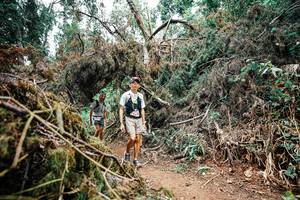 BIB: 
                            <button type="button" onclick="openModal(25549695)" class="btn btn-primary btn-sm float-right btn-popup" data-toggle="modal" data-target=".modal-high-quality">
                        <i class="fas fa-shopping-cart"></i> Add to Cart
                    </button>
                                            <button type="button" onclick="isThisMe(25549695, true)" class="btn btn-success btn-sm float-right btn-popup btn-isme hidden" data-toggle="tooltip" data-placement="bottom" title="นี่คือรูปของคุณใช่ไหม คลิกที่นี่เพื่อเอาเข้าอัลบั้ม">
                        <i class="fas fa-plus"></i> Add to album
                    </button>
                    <button type="button" onclick="isThisMe(25549695, false)" class="btn btn-warning btn-sm float-right btn-popup btn-isnotme hidden">
                        <i class="fas fa-ban"></i> Remove from album
                    </button>