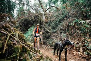 BIB: 
                            <button type="button" onclick="openModal(25519317)" class="btn btn-primary btn-sm float-right btn-popup" data-toggle="modal" data-target=".modal-high-quality">
                        <i class="fas fa-shopping-cart"></i> Add to Cart
                    </button>
                                            <button type="button" onclick="isThisMe(25519317, true)" class="btn btn-success btn-sm float-right btn-popup btn-isme hidden" data-toggle="tooltip" data-placement="bottom" title="นี่คือรูปของคุณใช่ไหม คลิกที่นี่เพื่อเอาเข้าอัลบั้ม">
                        <i class="fas fa-plus"></i> Add to album
                    </button>
                    <button type="button" onclick="isThisMe(25519317, false)" class="btn btn-warning btn-sm float-right btn-popup btn-isnotme hidden">
                        <i class="fas fa-ban"></i> Remove from album
                    </button>