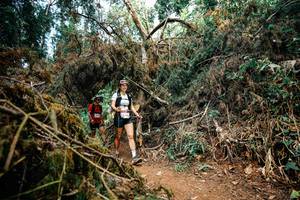 BIB: 
                            <button type="button" onclick="openModal(25481574)" class="btn btn-primary btn-sm float-right btn-popup" data-toggle="modal" data-target=".modal-high-quality">
                        <i class="fas fa-shopping-cart"></i> Add to Cart
                    </button>
                                            <button type="button" onclick="isThisMe(25481574, true)" class="btn btn-success btn-sm float-right btn-popup btn-isme hidden" data-toggle="tooltip" data-placement="bottom" title="นี่คือรูปของคุณใช่ไหม คลิกที่นี่เพื่อเอาเข้าอัลบั้ม">
                        <i class="fas fa-plus"></i> Add to album
                    </button>
                    <button type="button" onclick="isThisMe(25481574, false)" class="btn btn-warning btn-sm float-right btn-popup btn-isnotme hidden">
                        <i class="fas fa-ban"></i> Remove from album
                    </button>