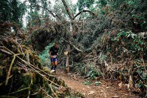 BIB: 
                            <button type="button" onclick="openModal(25459457)" class="btn btn-primary btn-sm float-right btn-popup" data-toggle="modal" data-target=".modal-high-quality">
                        <i class="fas fa-shopping-cart"></i> Add to Cart
                    </button>
                                            <button type="button" onclick="isThisMe(25459457, true)" class="btn btn-success btn-sm float-right btn-popup btn-isme hidden" data-toggle="tooltip" data-placement="bottom" title="นี่คือรูปของคุณใช่ไหม คลิกที่นี่เพื่อเอาเข้าอัลบั้ม">
                        <i class="fas fa-plus"></i> Add to album
                    </button>
                    <button type="button" onclick="isThisMe(25459457, false)" class="btn btn-warning btn-sm float-right btn-popup btn-isnotme hidden">
                        <i class="fas fa-ban"></i> Remove from album
                    </button>