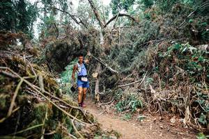 BIB: 
                            <button type="button" onclick="openModal(25470444)" class="btn btn-primary btn-sm float-right btn-popup" data-toggle="modal" data-target=".modal-high-quality">
                        <i class="fas fa-shopping-cart"></i> Add to Cart
                    </button>
                                            <button type="button" onclick="isThisMe(25470444, true)" class="btn btn-success btn-sm float-right btn-popup btn-isme hidden" data-toggle="tooltip" data-placement="bottom" title="นี่คือรูปของคุณใช่ไหม คลิกที่นี่เพื่อเอาเข้าอัลบั้ม">
                        <i class="fas fa-plus"></i> Add to album
                    </button>
                    <button type="button" onclick="isThisMe(25470444, false)" class="btn btn-warning btn-sm float-right btn-popup btn-isnotme hidden">
                        <i class="fas fa-ban"></i> Remove from album
                    </button>