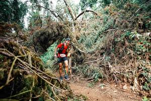 BIB: 
                            <button type="button" onclick="openModal(25548303)" class="btn btn-primary btn-sm float-right btn-popup" data-toggle="modal" data-target=".modal-high-quality">
                        <i class="fas fa-shopping-cart"></i> Add to Cart
                    </button>
                                            <button type="button" onclick="isThisMe(25548303, true)" class="btn btn-success btn-sm float-right btn-popup btn-isme hidden" data-toggle="tooltip" data-placement="bottom" title="นี่คือรูปของคุณใช่ไหม คลิกที่นี่เพื่อเอาเข้าอัลบั้ม">
                        <i class="fas fa-plus"></i> Add to album
                    </button>
                    <button type="button" onclick="isThisMe(25548303, false)" class="btn btn-warning btn-sm float-right btn-popup btn-isnotme hidden">
                        <i class="fas fa-ban"></i> Remove from album
                    </button>