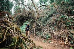 BIB: 
                            <button type="button" onclick="openModal(25550433)" class="btn btn-primary btn-sm float-right btn-popup" data-toggle="modal" data-target=".modal-high-quality">
                        <i class="fas fa-shopping-cart"></i> Add to Cart
                    </button>
                                            <button type="button" onclick="isThisMe(25550433, true)" class="btn btn-success btn-sm float-right btn-popup btn-isme hidden" data-toggle="tooltip" data-placement="bottom" title="นี่คือรูปของคุณใช่ไหม คลิกที่นี่เพื่อเอาเข้าอัลบั้ม">
                        <i class="fas fa-plus"></i> Add to album
                    </button>
                    <button type="button" onclick="isThisMe(25550433, false)" class="btn btn-warning btn-sm float-right btn-popup btn-isnotme hidden">
                        <i class="fas fa-ban"></i> Remove from album
                    </button>