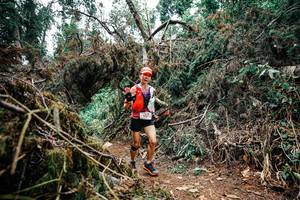 BIB: 
                            <button type="button" onclick="openModal(25455785)" class="btn btn-primary btn-sm float-right btn-popup" data-toggle="modal" data-target=".modal-high-quality">
                        <i class="fas fa-shopping-cart"></i> Add to Cart
                    </button>
                                            <button type="button" onclick="isThisMe(25455785, true)" class="btn btn-success btn-sm float-right btn-popup btn-isme hidden" data-toggle="tooltip" data-placement="bottom" title="นี่คือรูปของคุณใช่ไหม คลิกที่นี่เพื่อเอาเข้าอัลบั้ม">
                        <i class="fas fa-plus"></i> Add to album
                    </button>
                    <button type="button" onclick="isThisMe(25455785, false)" class="btn btn-warning btn-sm float-right btn-popup btn-isnotme hidden">
                        <i class="fas fa-ban"></i> Remove from album
                    </button>