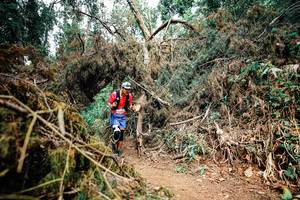 BIB: 
                            <button type="button" onclick="openModal(25537058)" class="btn btn-primary btn-sm float-right btn-popup" data-toggle="modal" data-target=".modal-high-quality">
                        <i class="fas fa-shopping-cart"></i> Add to Cart
                    </button>
                                            <button type="button" onclick="isThisMe(25537058, true)" class="btn btn-success btn-sm float-right btn-popup btn-isme hidden" data-toggle="tooltip" data-placement="bottom" title="นี่คือรูปของคุณใช่ไหม คลิกที่นี่เพื่อเอาเข้าอัลบั้ม">
                        <i class="fas fa-plus"></i> Add to album
                    </button>
                    <button type="button" onclick="isThisMe(25537058, false)" class="btn btn-warning btn-sm float-right btn-popup btn-isnotme hidden">
                        <i class="fas fa-ban"></i> Remove from album
                    </button>