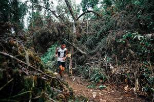 BIB: 
                            <button type="button" onclick="openModal(25451300)" class="btn btn-primary btn-sm float-right btn-popup" data-toggle="modal" data-target=".modal-high-quality">
                        <i class="fas fa-shopping-cart"></i> Add to Cart
                    </button>
                                            <button type="button" onclick="isThisMe(25451300, true)" class="btn btn-success btn-sm float-right btn-popup btn-isme hidden" data-toggle="tooltip" data-placement="bottom" title="นี่คือรูปของคุณใช่ไหม คลิกที่นี่เพื่อเอาเข้าอัลบั้ม">
                        <i class="fas fa-plus"></i> Add to album
                    </button>
                    <button type="button" onclick="isThisMe(25451300, false)" class="btn btn-warning btn-sm float-right btn-popup btn-isnotme hidden">
                        <i class="fas fa-ban"></i> Remove from album
                    </button>