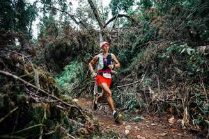 BIB: 
                            <button type="button" onclick="openModal(25451662)" class="btn btn-primary btn-sm float-right btn-popup" data-toggle="modal" data-target=".modal-high-quality">
                        <i class="fas fa-shopping-cart"></i> Add to Cart
                    </button>
                                            <button type="button" onclick="isThisMe(25451662, true)" class="btn btn-success btn-sm float-right btn-popup btn-isme hidden" data-toggle="tooltip" data-placement="bottom" title="นี่คือรูปของคุณใช่ไหม คลิกที่นี่เพื่อเอาเข้าอัลบั้ม">
                        <i class="fas fa-plus"></i> Add to album
                    </button>
                    <button type="button" onclick="isThisMe(25451662, false)" class="btn btn-warning btn-sm float-right btn-popup btn-isnotme hidden">
                        <i class="fas fa-ban"></i> Remove from album
                    </button>