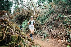 BIB: 
                            <button type="button" onclick="openModal(25552500)" class="btn btn-primary btn-sm float-right btn-popup" data-toggle="modal" data-target=".modal-high-quality">
                        <i class="fas fa-shopping-cart"></i> Add to Cart
                    </button>
                                            <button type="button" onclick="isThisMe(25552500, true)" class="btn btn-success btn-sm float-right btn-popup btn-isme hidden" data-toggle="tooltip" data-placement="bottom" title="นี่คือรูปของคุณใช่ไหม คลิกที่นี่เพื่อเอาเข้าอัลบั้ม">
                        <i class="fas fa-plus"></i> Add to album
                    </button>
                    <button type="button" onclick="isThisMe(25552500, false)" class="btn btn-warning btn-sm float-right btn-popup btn-isnotme hidden">
                        <i class="fas fa-ban"></i> Remove from album
                    </button>