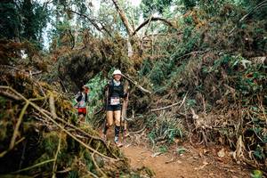 BIB: 
                            <button type="button" onclick="openModal(25474697)" class="btn btn-primary btn-sm float-right btn-popup" data-toggle="modal" data-target=".modal-high-quality">
                        <i class="fas fa-shopping-cart"></i> Add to Cart
                    </button>
                                            <button type="button" onclick="isThisMe(25474697, true)" class="btn btn-success btn-sm float-right btn-popup btn-isme hidden" data-toggle="tooltip" data-placement="bottom" title="นี่คือรูปของคุณใช่ไหม คลิกที่นี่เพื่อเอาเข้าอัลบั้ม">
                        <i class="fas fa-plus"></i> Add to album
                    </button>
                    <button type="button" onclick="isThisMe(25474697, false)" class="btn btn-warning btn-sm float-right btn-popup btn-isnotme hidden">
                        <i class="fas fa-ban"></i> Remove from album
                    </button>