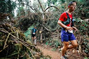 BIB: 
                            <button type="button" onclick="openModal(25554414)" class="btn btn-primary btn-sm float-right btn-popup" data-toggle="modal" data-target=".modal-high-quality">
                        <i class="fas fa-shopping-cart"></i> Add to Cart
                    </button>
                                            <button type="button" onclick="isThisMe(25554414, true)" class="btn btn-success btn-sm float-right btn-popup btn-isme hidden" data-toggle="tooltip" data-placement="bottom" title="นี่คือรูปของคุณใช่ไหม คลิกที่นี่เพื่อเอาเข้าอัลบั้ม">
                        <i class="fas fa-plus"></i> Add to album
                    </button>
                    <button type="button" onclick="isThisMe(25554414, false)" class="btn btn-warning btn-sm float-right btn-popup btn-isnotme hidden">
                        <i class="fas fa-ban"></i> Remove from album
                    </button>