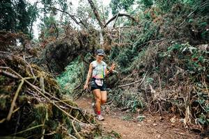 BIB: 
                            <button type="button" onclick="openModal(25531770)" class="btn btn-primary btn-sm float-right btn-popup" data-toggle="modal" data-target=".modal-high-quality">
                        <i class="fas fa-shopping-cart"></i> Add to Cart
                    </button>
                                            <button type="button" onclick="isThisMe(25531770, true)" class="btn btn-success btn-sm float-right btn-popup btn-isme hidden" data-toggle="tooltip" data-placement="bottom" title="นี่คือรูปของคุณใช่ไหม คลิกที่นี่เพื่อเอาเข้าอัลบั้ม">
                        <i class="fas fa-plus"></i> Add to album
                    </button>
                    <button type="button" onclick="isThisMe(25531770, false)" class="btn btn-warning btn-sm float-right btn-popup btn-isnotme hidden">
                        <i class="fas fa-ban"></i> Remove from album
                    </button>