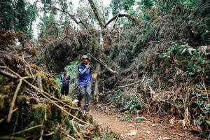 BIB: 
                            <button type="button" onclick="openModal(25464541)" class="btn btn-primary btn-sm float-right btn-popup" data-toggle="modal" data-target=".modal-high-quality">
                        <i class="fas fa-shopping-cart"></i> Add to Cart
                    </button>
                                            <button type="button" onclick="isThisMe(25464541, true)" class="btn btn-success btn-sm float-right btn-popup btn-isme hidden" data-toggle="tooltip" data-placement="bottom" title="นี่คือรูปของคุณใช่ไหม คลิกที่นี่เพื่อเอาเข้าอัลบั้ม">
                        <i class="fas fa-plus"></i> Add to album
                    </button>
                    <button type="button" onclick="isThisMe(25464541, false)" class="btn btn-warning btn-sm float-right btn-popup btn-isnotme hidden">
                        <i class="fas fa-ban"></i> Remove from album
                    </button>