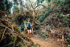 BIB: 
                            <button type="button" onclick="openModal(25481935)" class="btn btn-primary btn-sm float-right btn-popup" data-toggle="modal" data-target=".modal-high-quality">
                        <i class="fas fa-shopping-cart"></i> Add to Cart
                    </button>
                                            <button type="button" onclick="isThisMe(25481935, true)" class="btn btn-success btn-sm float-right btn-popup btn-isme hidden" data-toggle="tooltip" data-placement="bottom" title="นี่คือรูปของคุณใช่ไหม คลิกที่นี่เพื่อเอาเข้าอัลบั้ม">
                        <i class="fas fa-plus"></i> Add to album
                    </button>
                    <button type="button" onclick="isThisMe(25481935, false)" class="btn btn-warning btn-sm float-right btn-popup btn-isnotme hidden">
                        <i class="fas fa-ban"></i> Remove from album
                    </button>