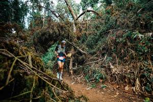 BIB: 
                            <button type="button" onclick="openModal(25474405)" class="btn btn-primary btn-sm float-right btn-popup" data-toggle="modal" data-target=".modal-high-quality">
                        <i class="fas fa-shopping-cart"></i> Add to Cart
                    </button>
                                            <button type="button" onclick="isThisMe(25474405, true)" class="btn btn-success btn-sm float-right btn-popup btn-isme hidden" data-toggle="tooltip" data-placement="bottom" title="นี่คือรูปของคุณใช่ไหม คลิกที่นี่เพื่อเอาเข้าอัลบั้ม">
                        <i class="fas fa-plus"></i> Add to album
                    </button>
                    <button type="button" onclick="isThisMe(25474405, false)" class="btn btn-warning btn-sm float-right btn-popup btn-isnotme hidden">
                        <i class="fas fa-ban"></i> Remove from album
                    </button>