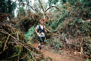 BIB: 
                            <button type="button" onclick="openModal(25553313)" class="btn btn-primary btn-sm float-right btn-popup" data-toggle="modal" data-target=".modal-high-quality">
                        <i class="fas fa-shopping-cart"></i> Add to Cart
                    </button>
                                            <button type="button" onclick="isThisMe(25553313, true)" class="btn btn-success btn-sm float-right btn-popup btn-isme hidden" data-toggle="tooltip" data-placement="bottom" title="นี่คือรูปของคุณใช่ไหม คลิกที่นี่เพื่อเอาเข้าอัลบั้ม">
                        <i class="fas fa-plus"></i> Add to album
                    </button>
                    <button type="button" onclick="isThisMe(25553313, false)" class="btn btn-warning btn-sm float-right btn-popup btn-isnotme hidden">
                        <i class="fas fa-ban"></i> Remove from album
                    </button>